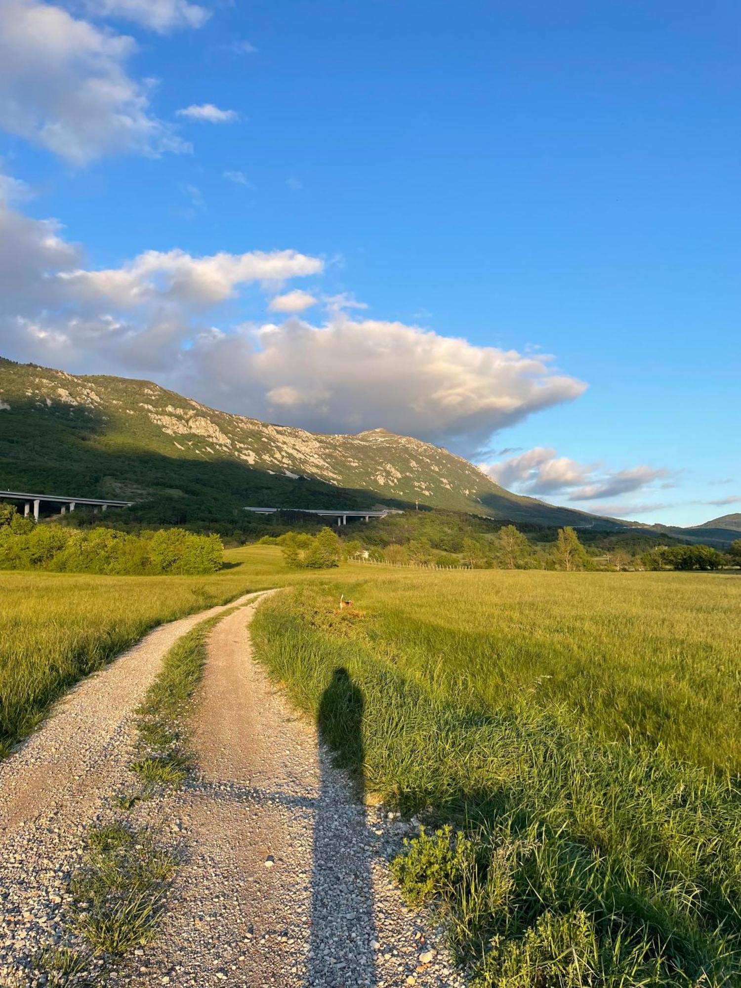 Homestead - Domacija - Nabergoj Podnanos Kültér fotó