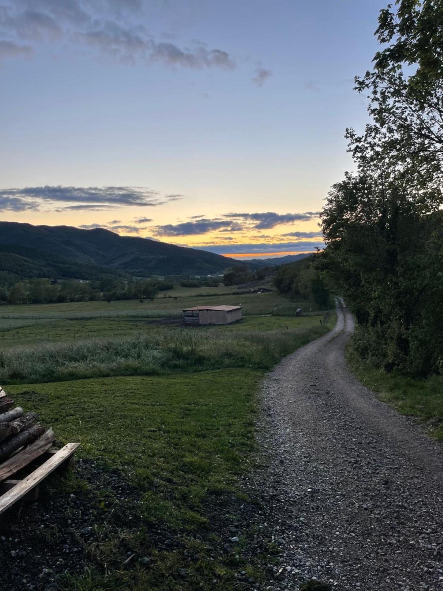 Homestead - Domacija - Nabergoj Podnanos Kültér fotó