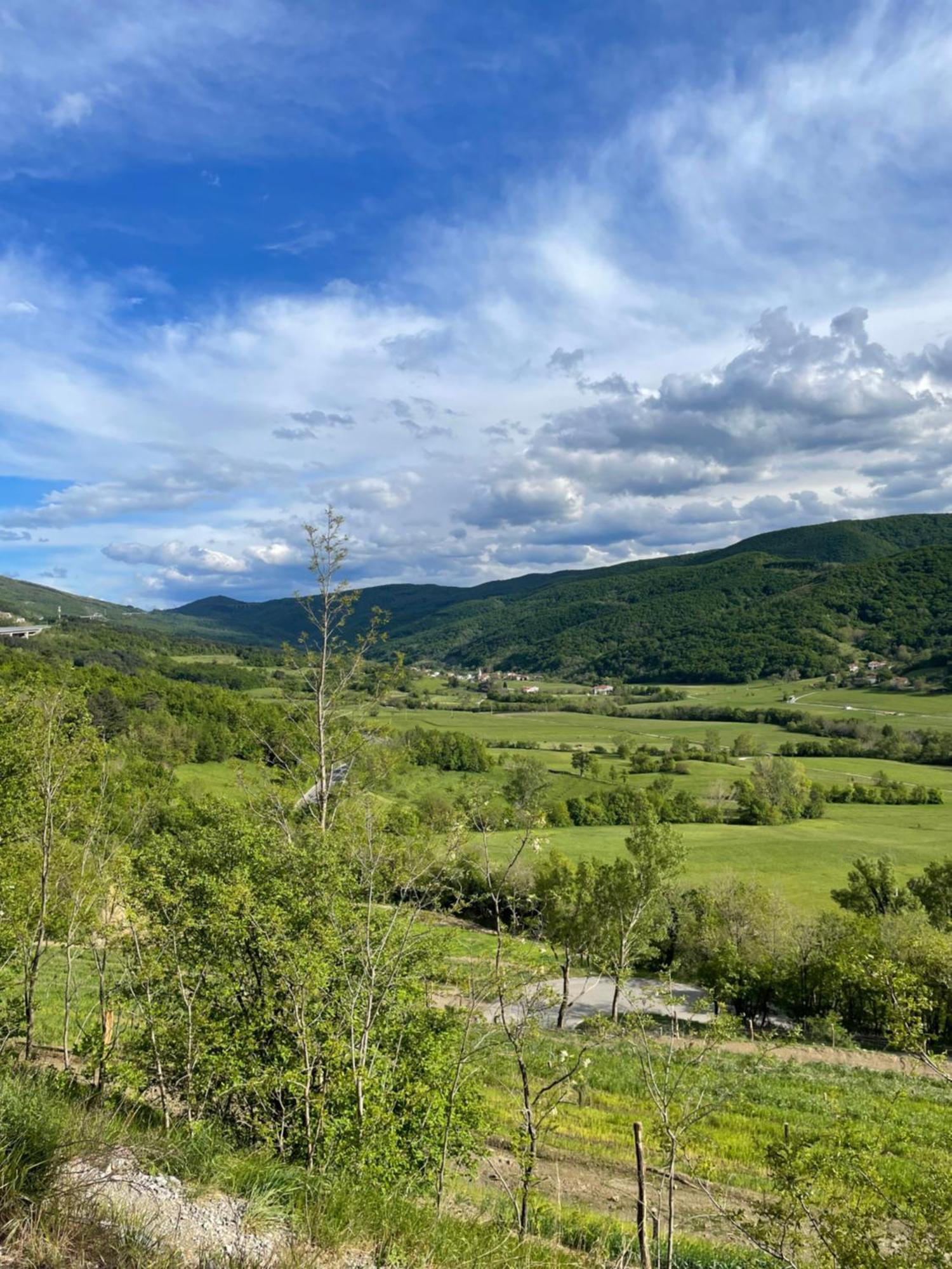 Homestead - Domacija - Nabergoj Podnanos Kültér fotó